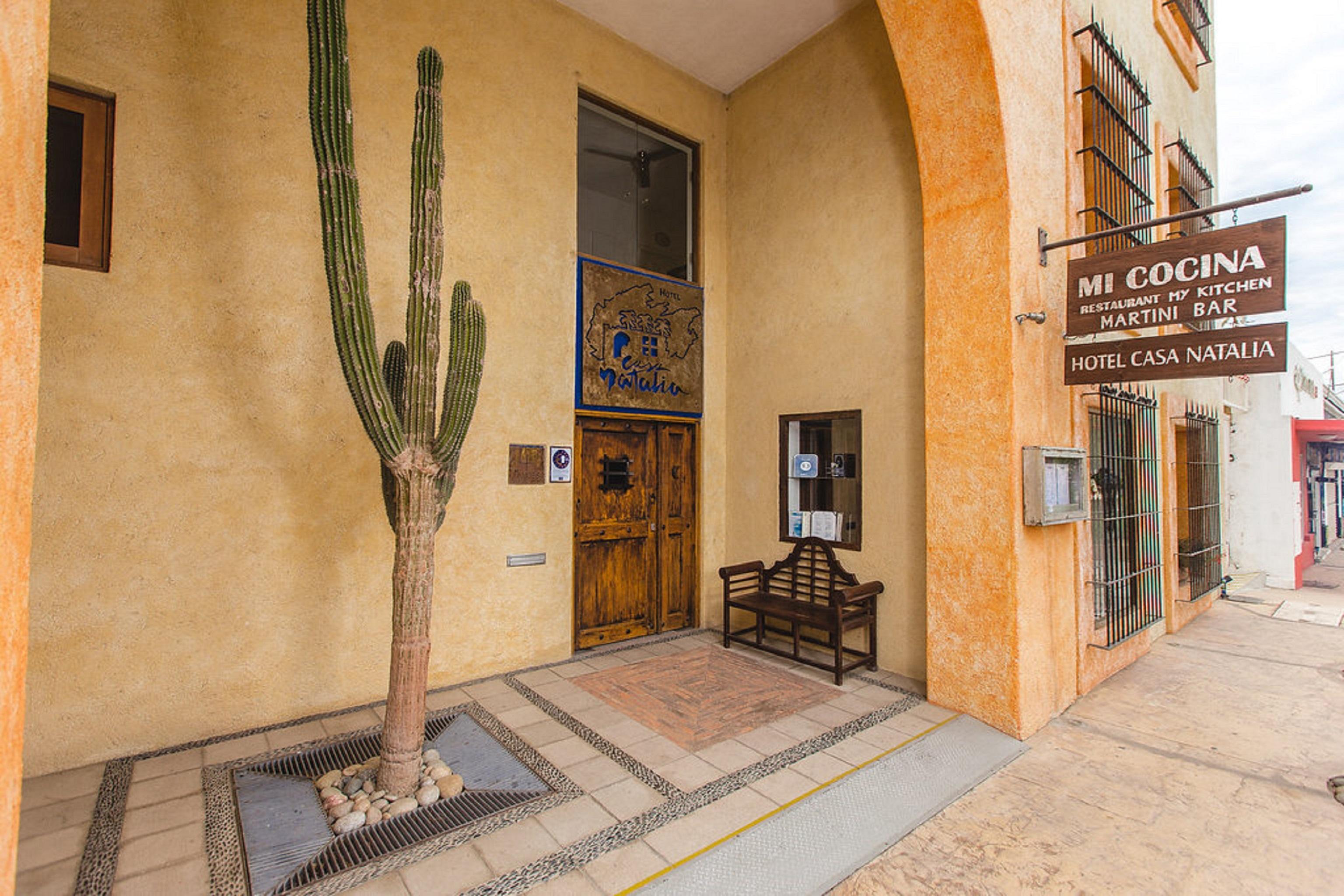 Casa Natalia Boutique Hotel Adults Only San José del Cabo Εξωτερικό φωτογραφία