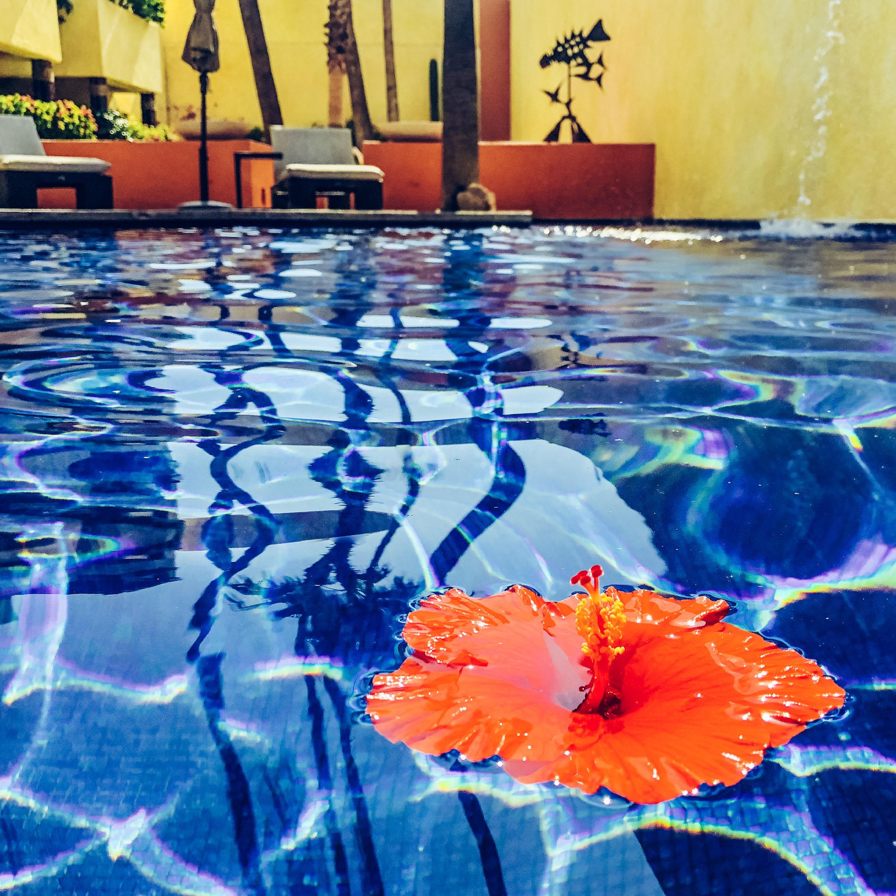 Casa Natalia Boutique Hotel Adults Only San José del Cabo Εξωτερικό φωτογραφία